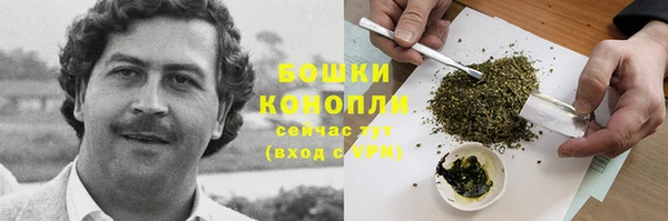 гашик Россошь