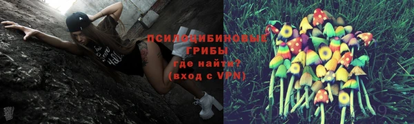 тгк Алексин