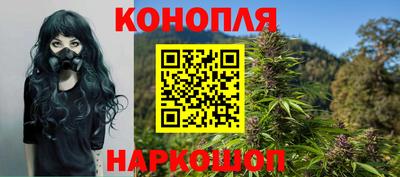 гидропоника Будённовск