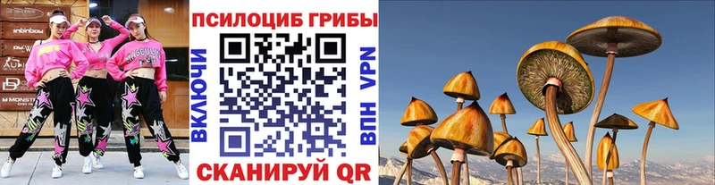 Галлюциногенные грибы Cubensis Дмитров