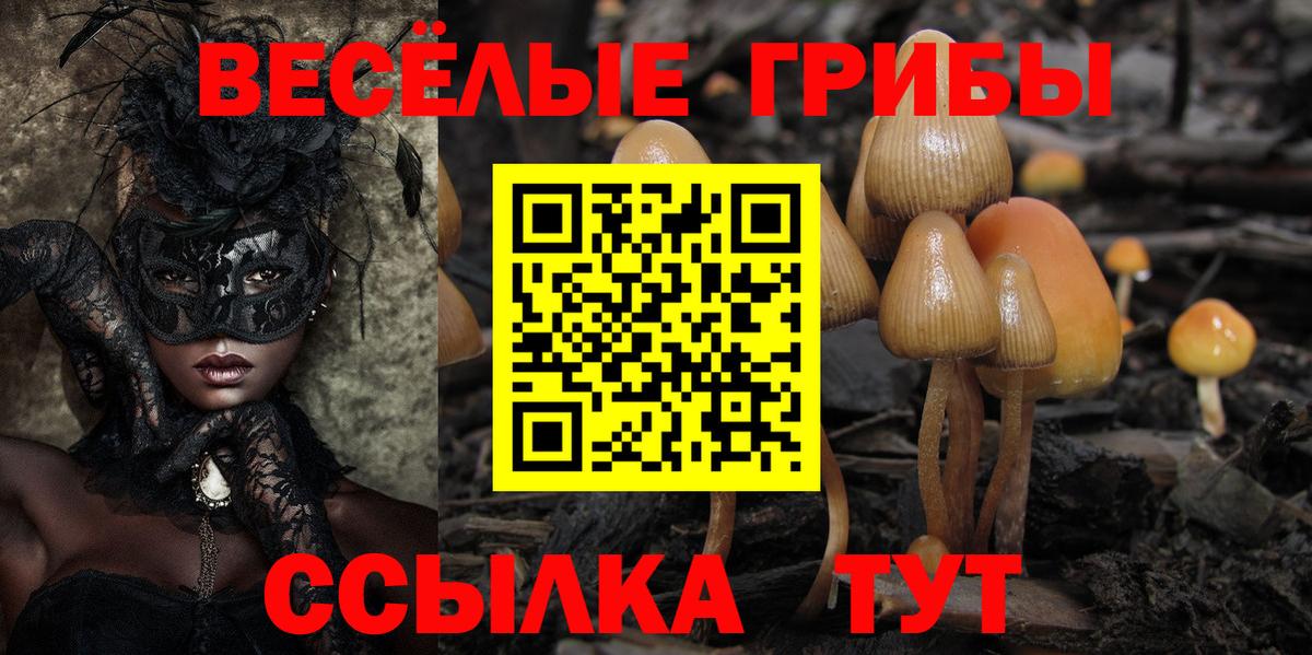Галлюциногенные грибы GOLDEN TEACHER  Вход с VPN  Дмитров 