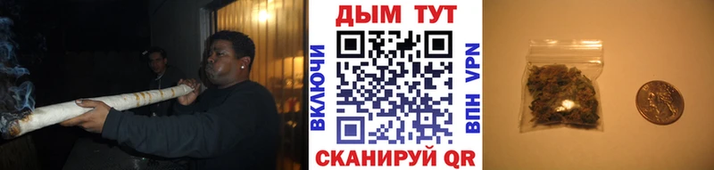 Шишки марихуана планчик  наркотики  Дмитров 